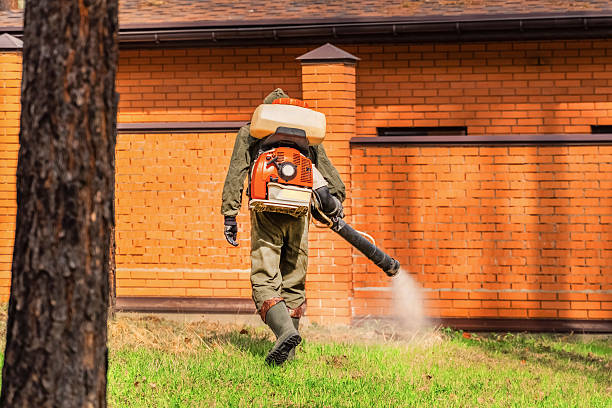 Bed Bug Clearance Verification and Documentation in Zillah